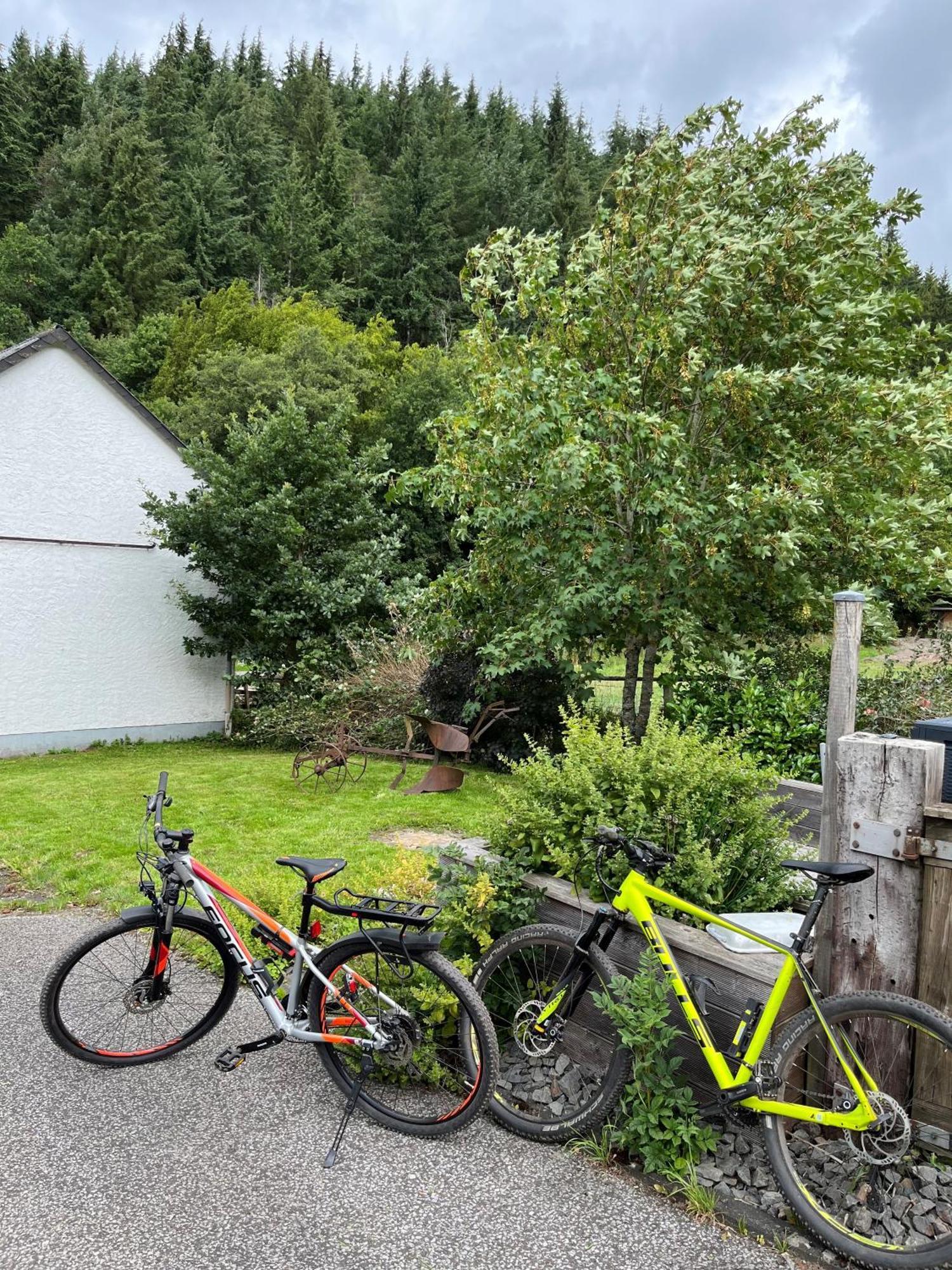 Lochhof Zwei - Eifelurlaub Mit Farmcharme Villa Hellenthal Buitenkant foto